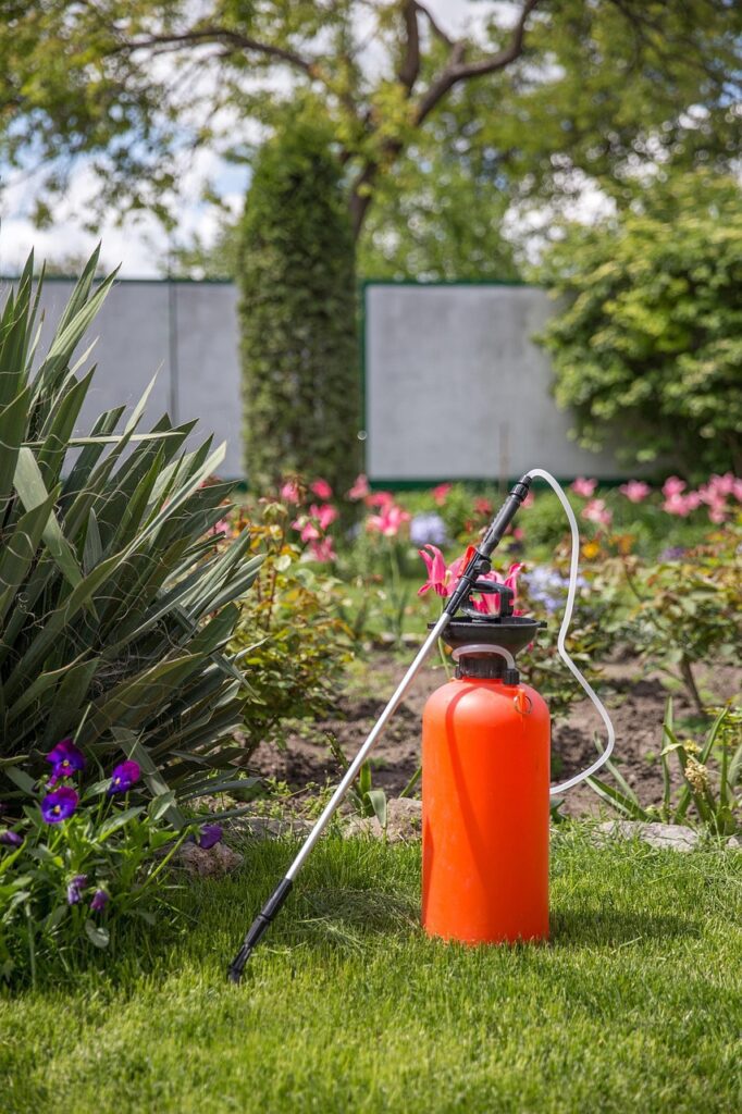 Fertilizing your plants in moderate quantity