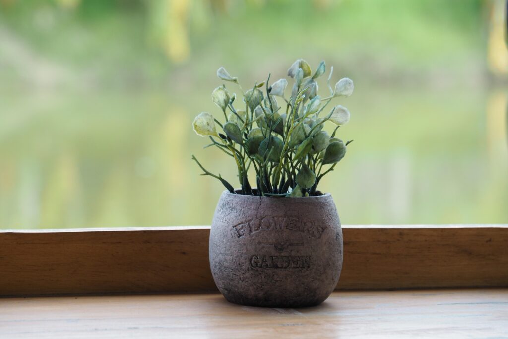 well draining pots for small plants